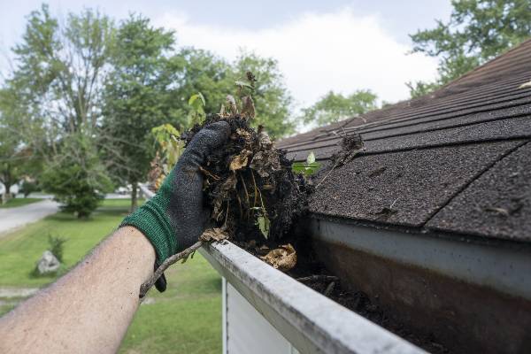 best and cheap affordable gutter and eavestrough cleaning service of residential and commercial gutters to ensure your buildings keep dry.